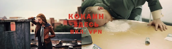 молекула духа Алексеевка