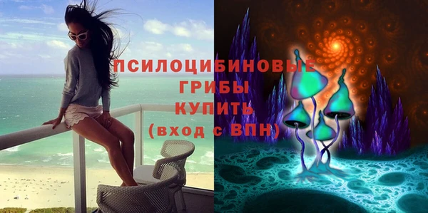 молекула духа Алексеевка