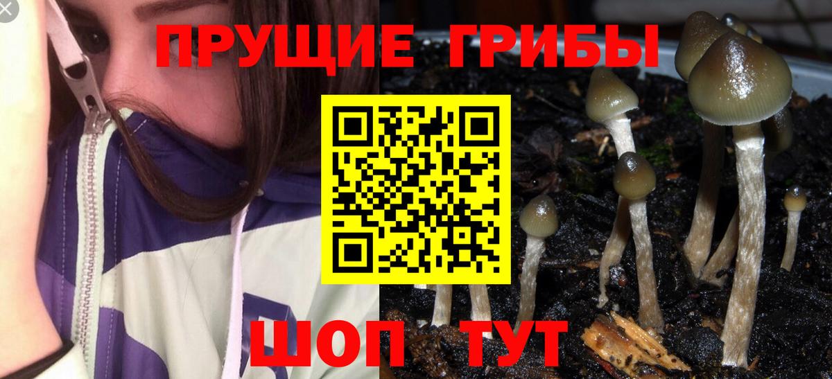 Псилоцибиновые грибы мицелий  Вход с VPN  купить закладку  Волгоград 