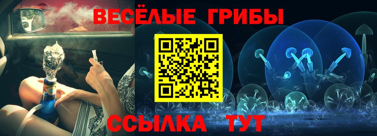 Галлюциногенные грибы Magic Shrooms Волгоград